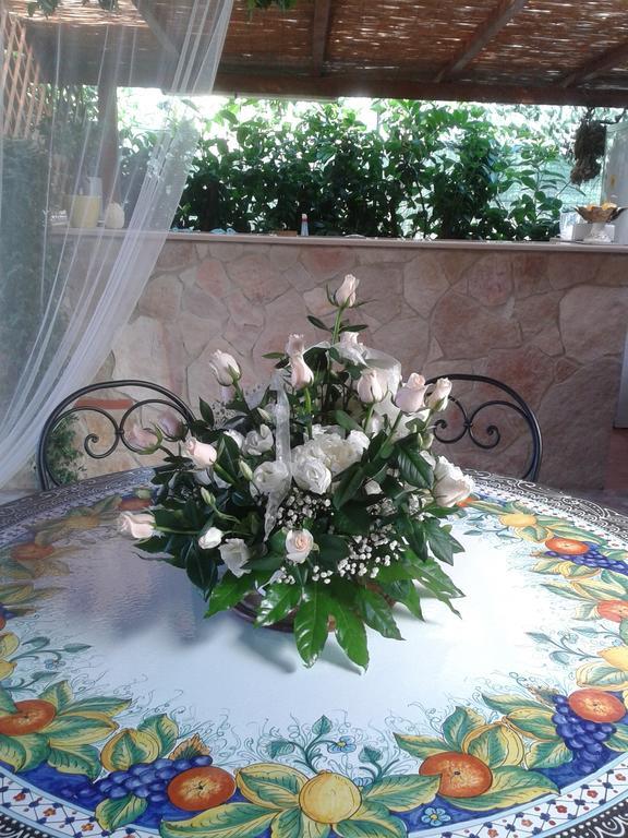 Viola Di Mare Rooms And Parking Termoli Ngoại thất bức ảnh