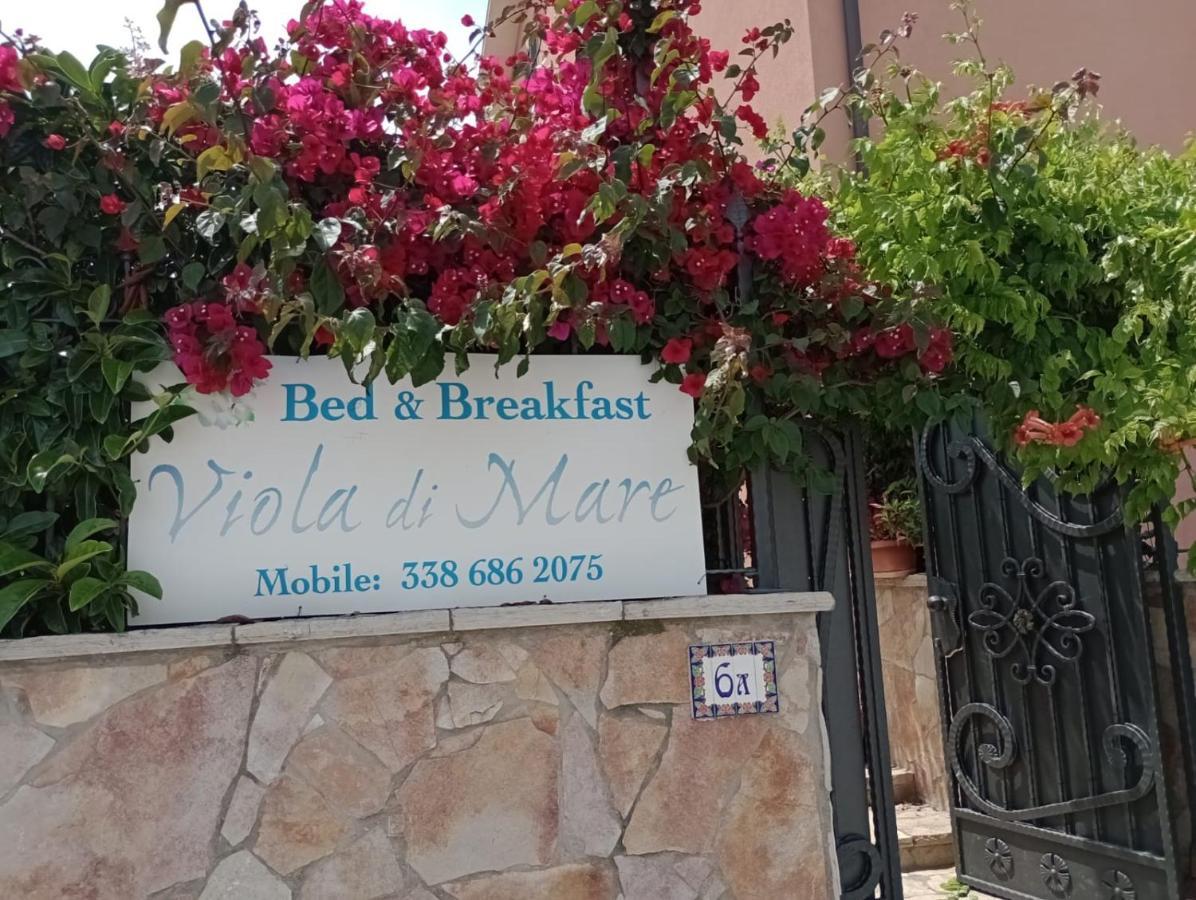 Viola Di Mare Rooms And Parking Termoli Ngoại thất bức ảnh