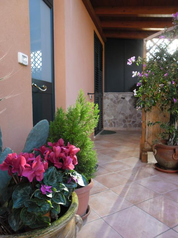 Viola Di Mare Rooms And Parking Termoli Ngoại thất bức ảnh